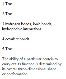 Quiz 14